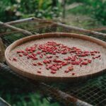 Ulasan Pengalaman Kuliner di Geprek Bensu Bengkulu